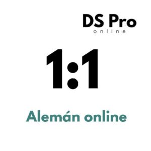 Clases Online 1:1 - DEUTSCHE SCHULE (3 meses)