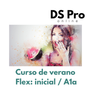 DS Pro online | Aprende alemán online 2 Curso de Verano Flex inicial/A1a - 35 sesiones (clases en vivo y clases grabadas disponible 24/7 con material incluido)